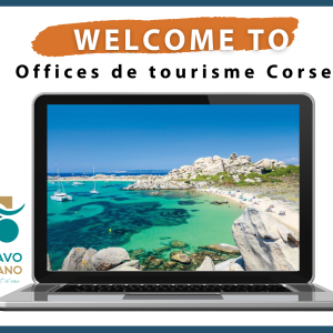 Amélioration de l'Accueil Touristique en Corse : Système de Comptage de Personnes dans les Offices de Tourisme de Zonza, Calvi et Taravo Ornano 